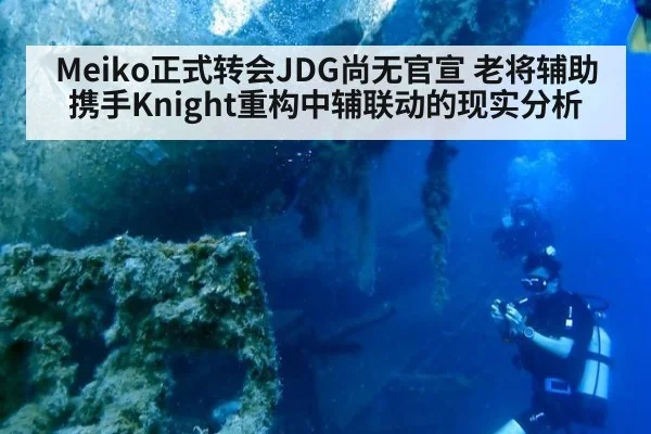 Meiko正式转会JDG尚无官宣 老将辅助携手Knight重构中辅联动的现实分析